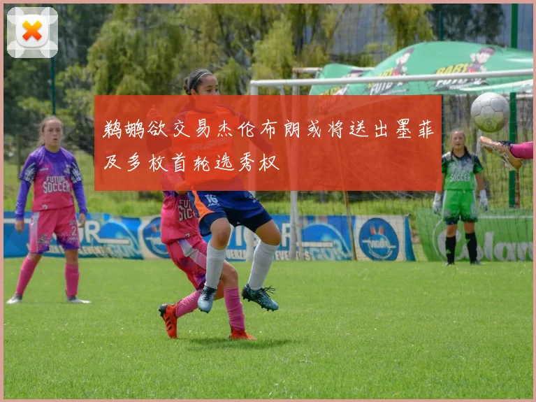 鹈鹕欲交易杰伦布朗或将送出墨菲及多枚首轮选秀权
