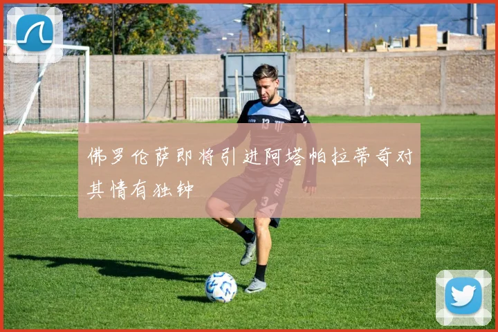 佛罗伦萨即将引进阿塔帕拉蒂奇对其情有独钟